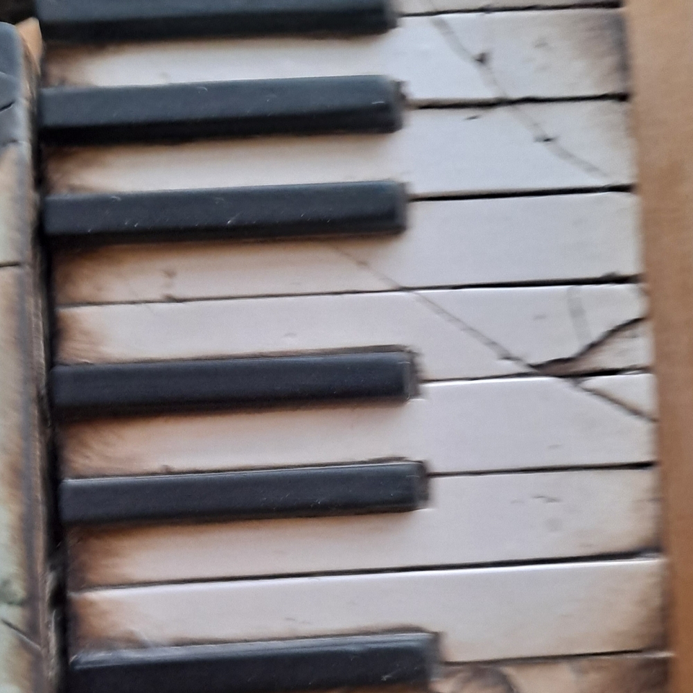 Vintage Piano Keyboard Section - Black and White Keys